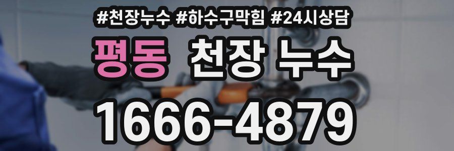 평동 천장 누수