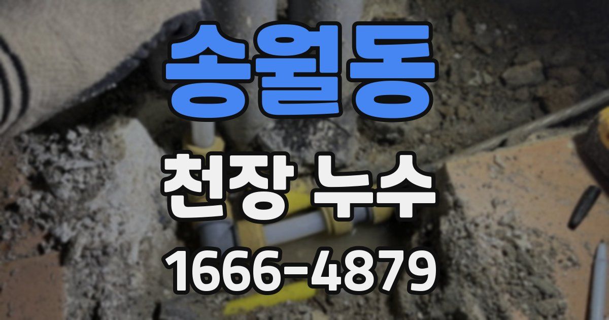 송월동 천장 누수