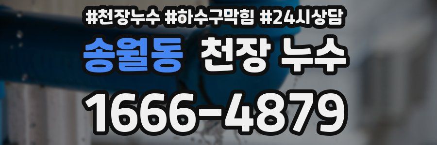 송월동 천장 누수