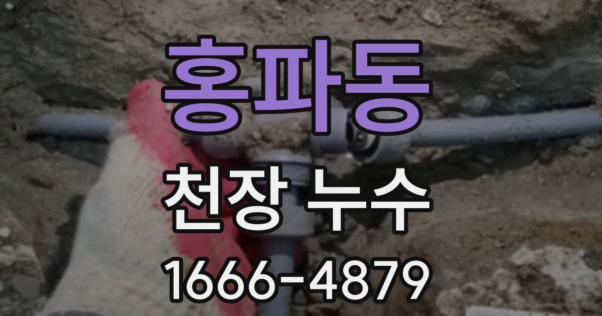 홍파동 천장 누수