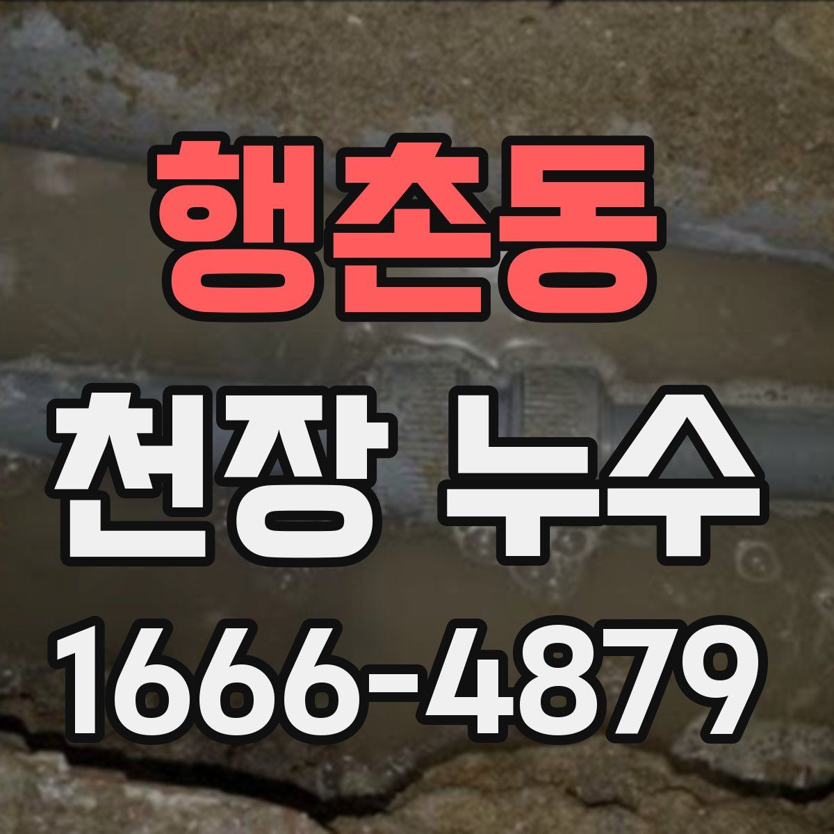 행촌동 천장 누수