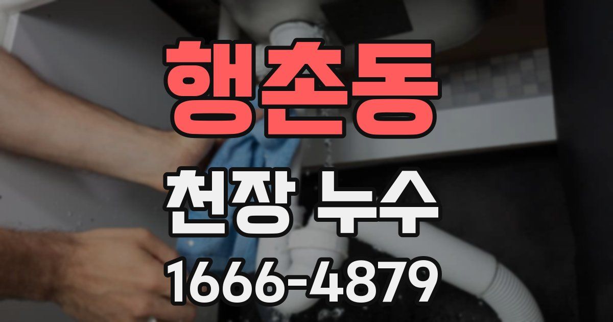 행촌동 천장 누수