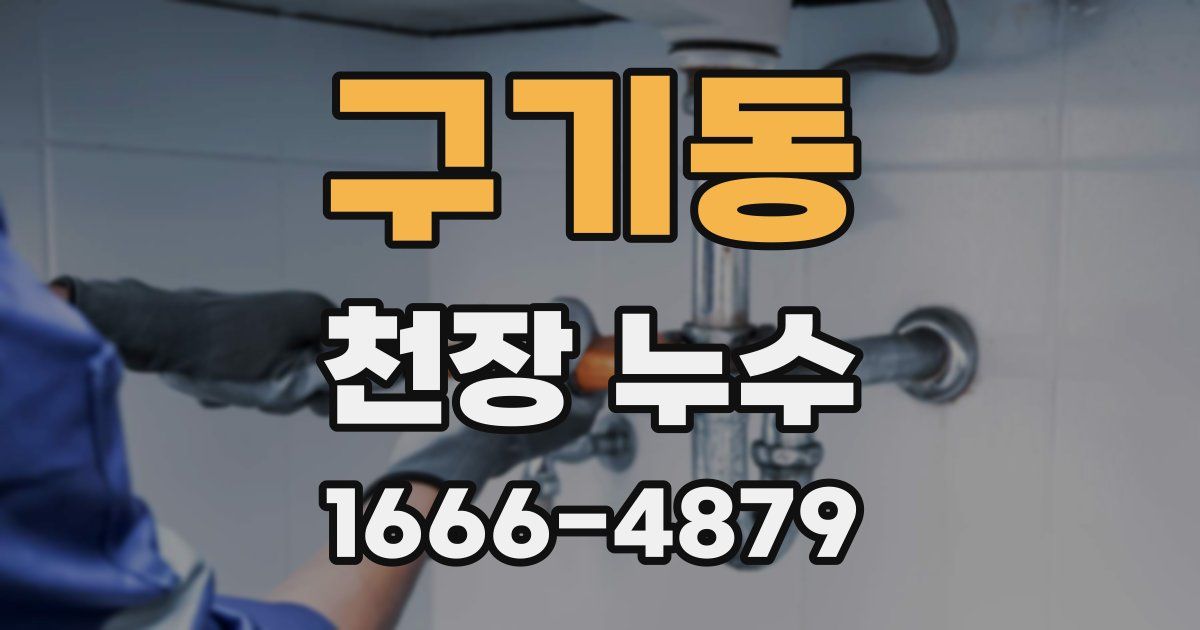 구기동 천장 누수