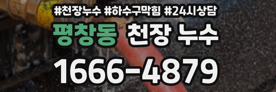 평창동 천장 누수