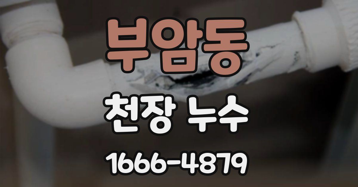 부암동 천장 누수