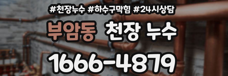 부암동 천장 누수