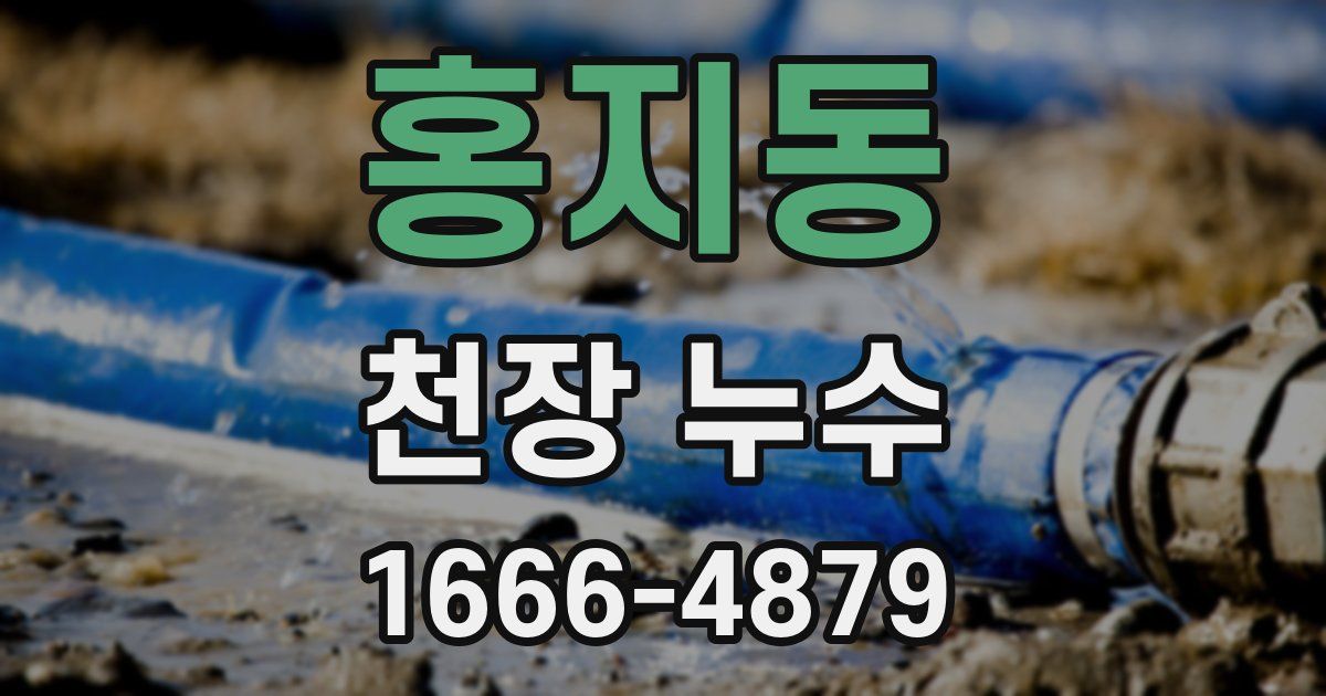 홍지동 천장 누수