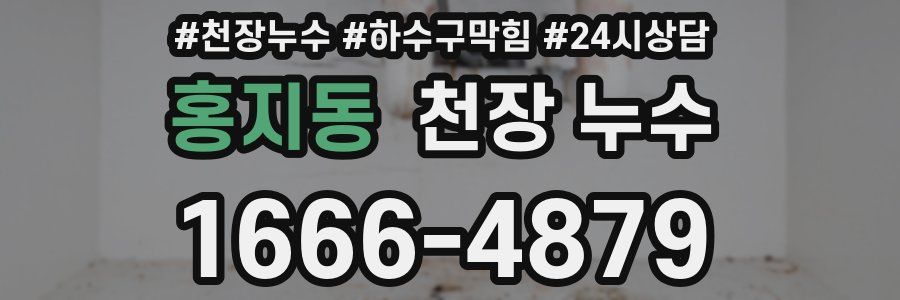 홍지동 천장 누수