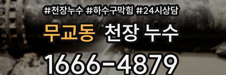 무교동 천장 누수