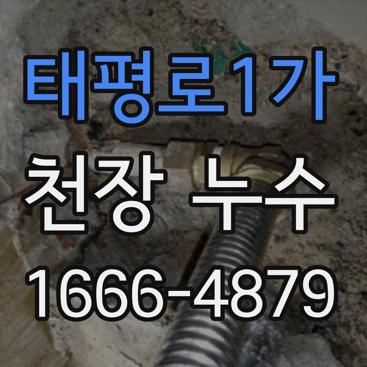 태평로1가 천장 누수 집이 눅눅해지기 전 점검하세요
