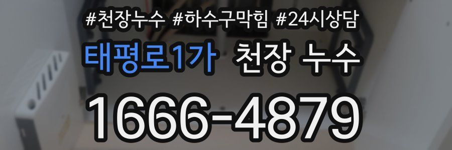 태평로1가 천장 누수