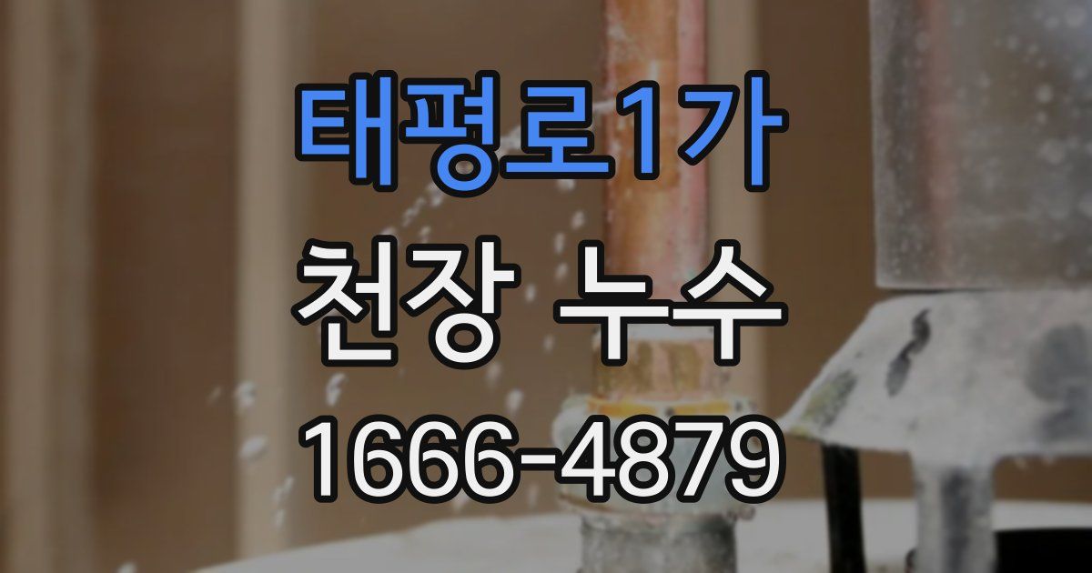 태평로1가 천장 누수