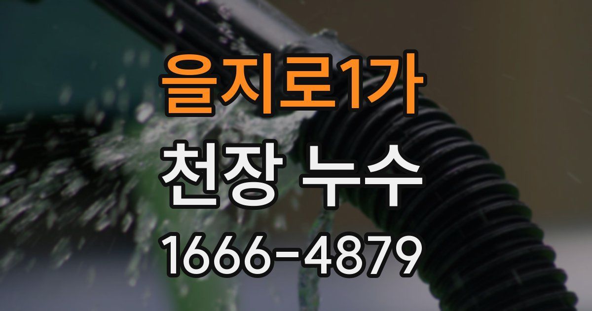 을지로1가 천장 누수