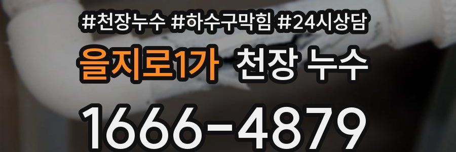 을지로1가 천장 누수