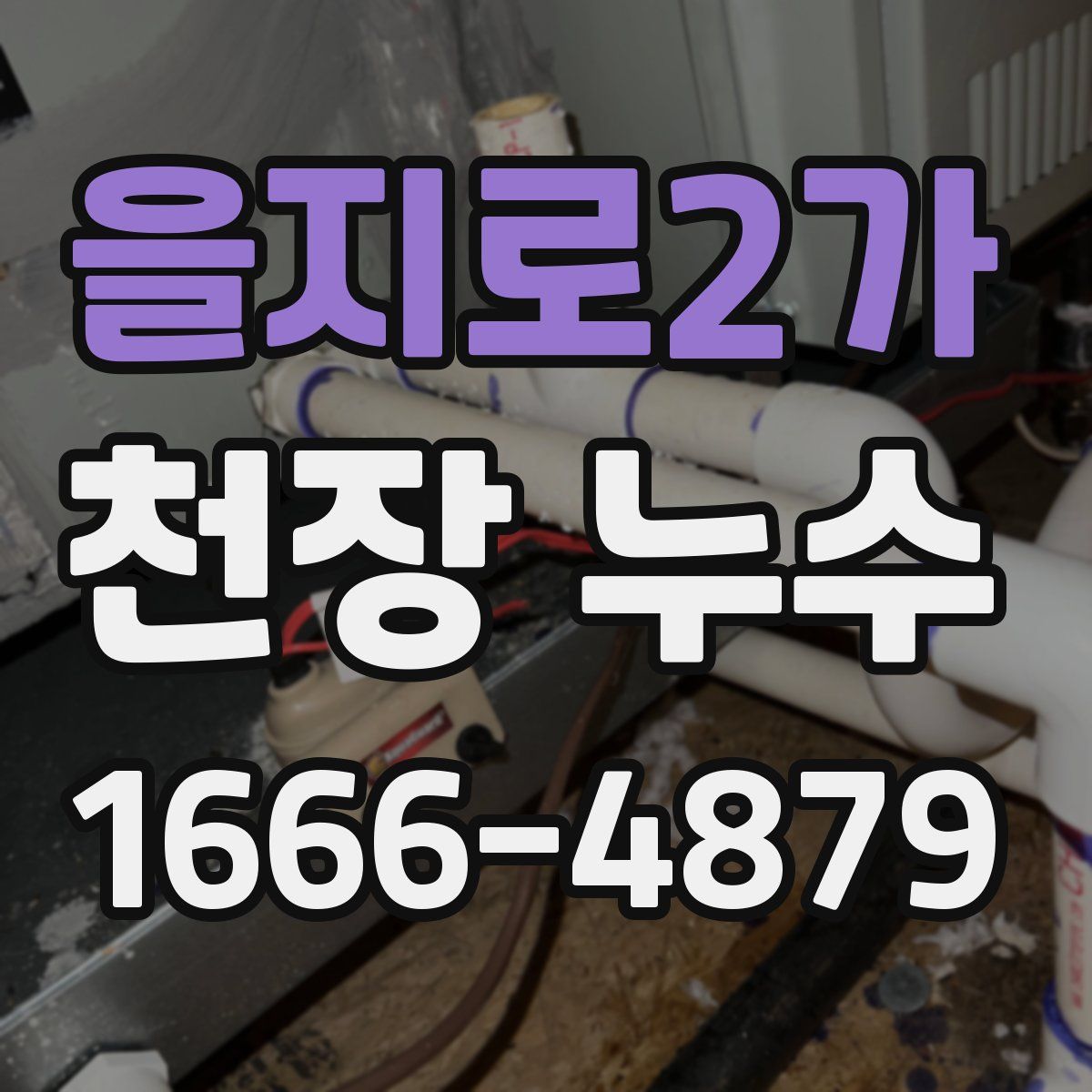 을지로2가 천장 누수