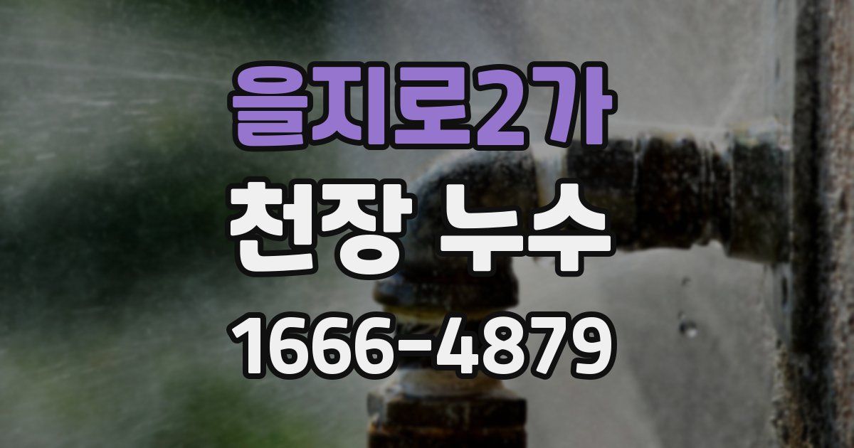 을지로2가 천장 누수