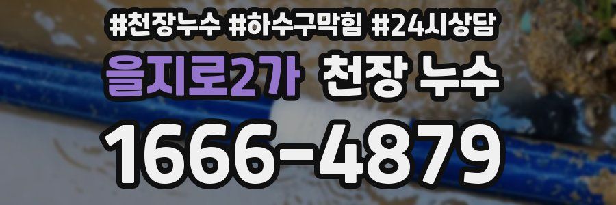 을지로2가 천장 누수