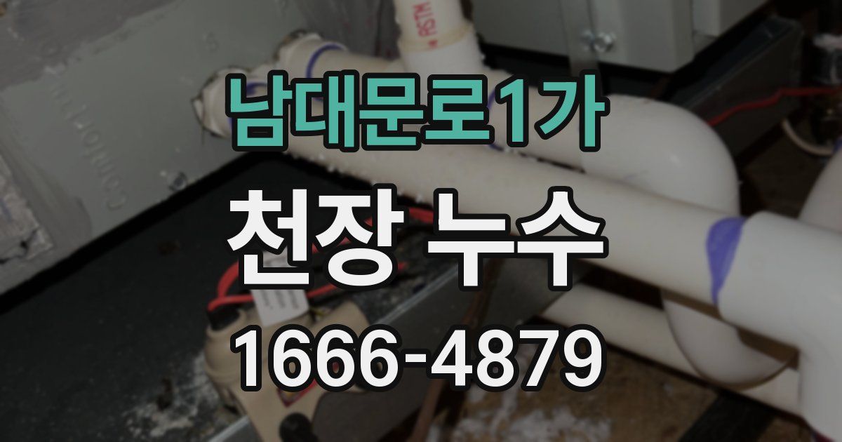 남대문로1가 천장 누수