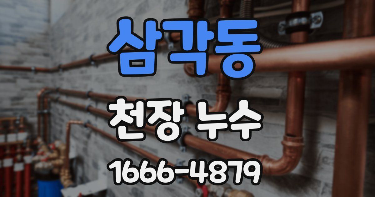 삼각동 천장 누수