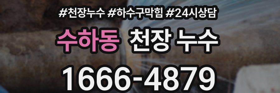 수하동 천장 누수