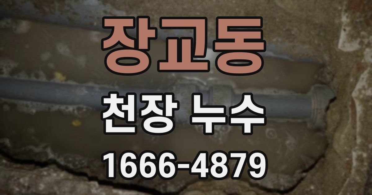 장교동 천장 누수