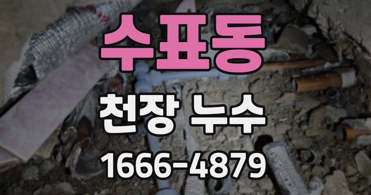 수표동 천장 누수