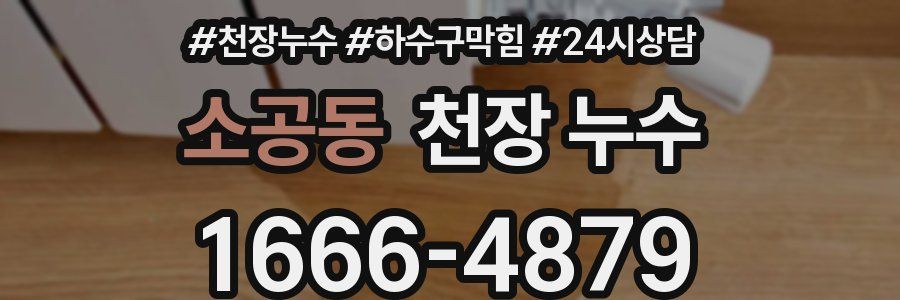 소공동 천장 누수