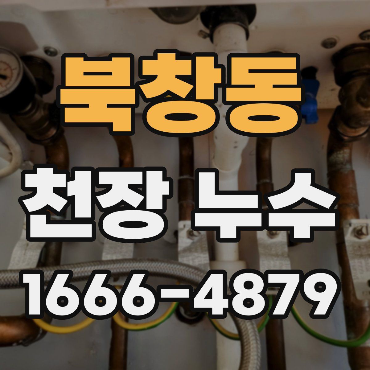 북창동 천장 누수