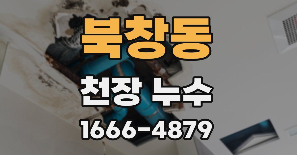 북창동 천장 누수