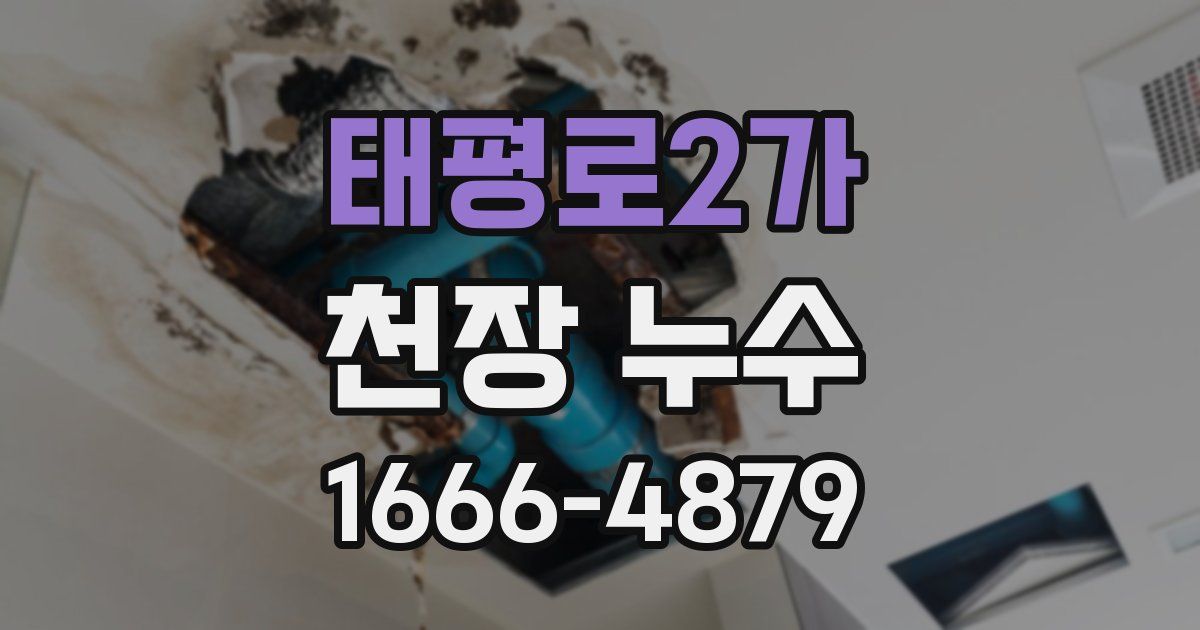태평로2가 천장 누수