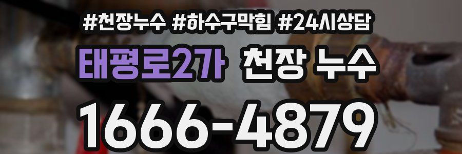 태평로2가 천장 누수