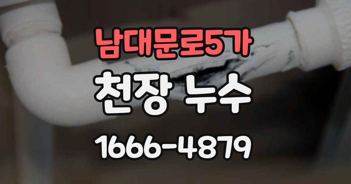 남대문로5가 천장 누수