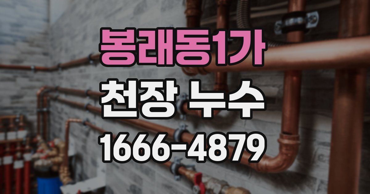 봉래동1가 천장 누수