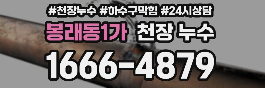 봉래동1가 천장 누수