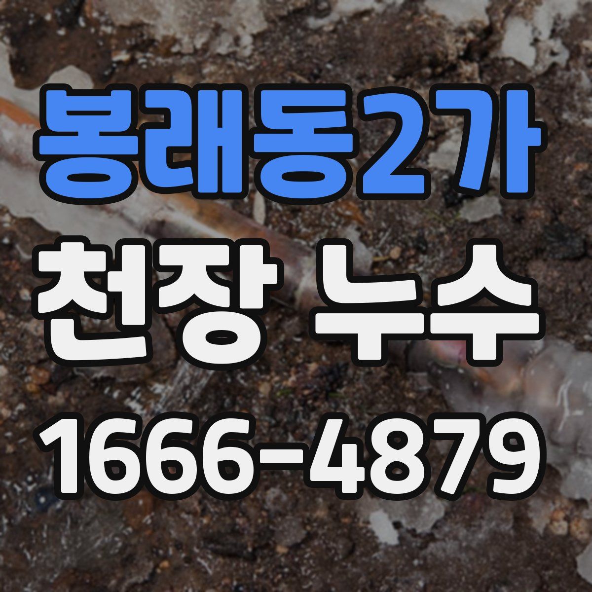 봉래동2가 천장 누수