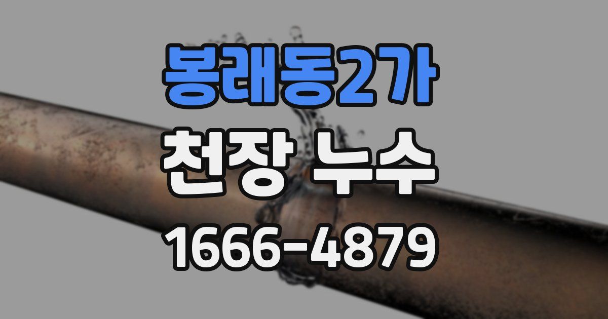 봉래동2가 천장 누수