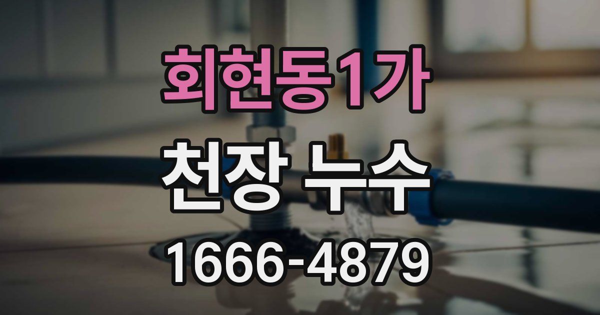 회현동1가 천장 누수