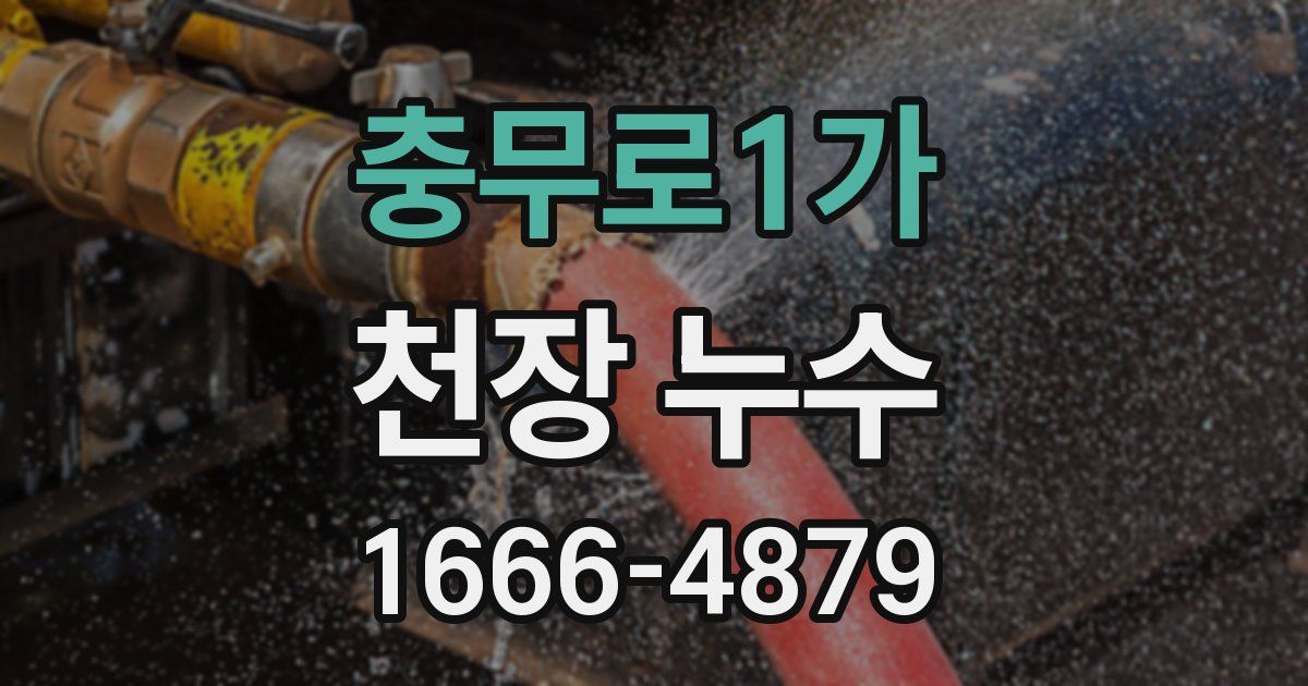 충무로1가 천장 누수