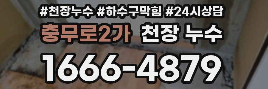 충무로2가 천장 누수