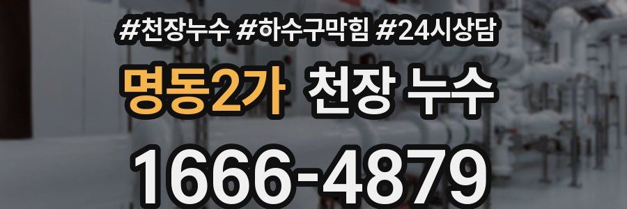 명동2가 천장 누수