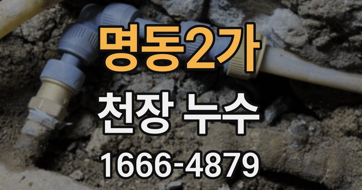 명동2가 천장 누수