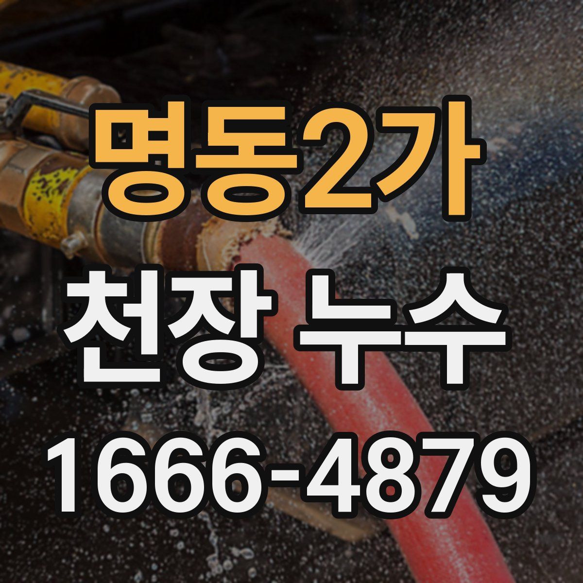 명동2가 천장 누수