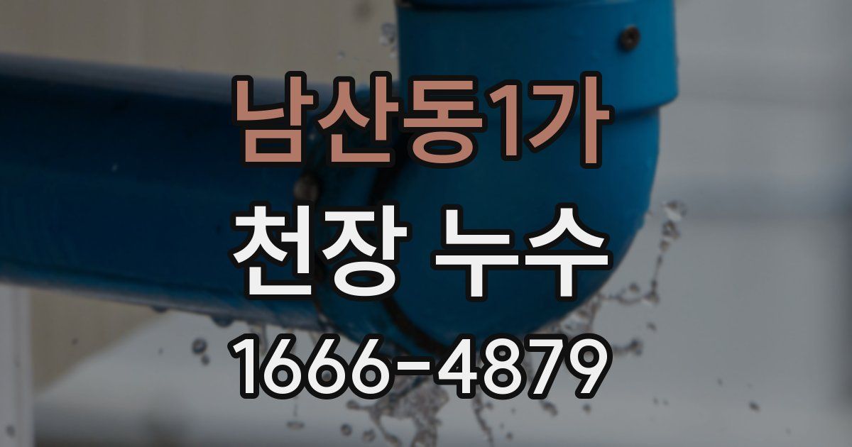 남산동1가 천장 누수