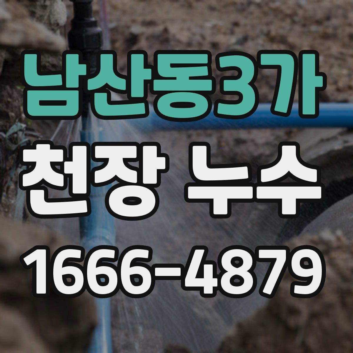 남산동3가 천장 누수 벽까지 젖는 상황을 막기