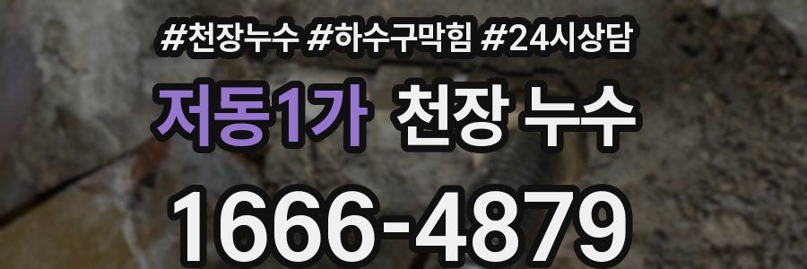 저동1가 천장 누수