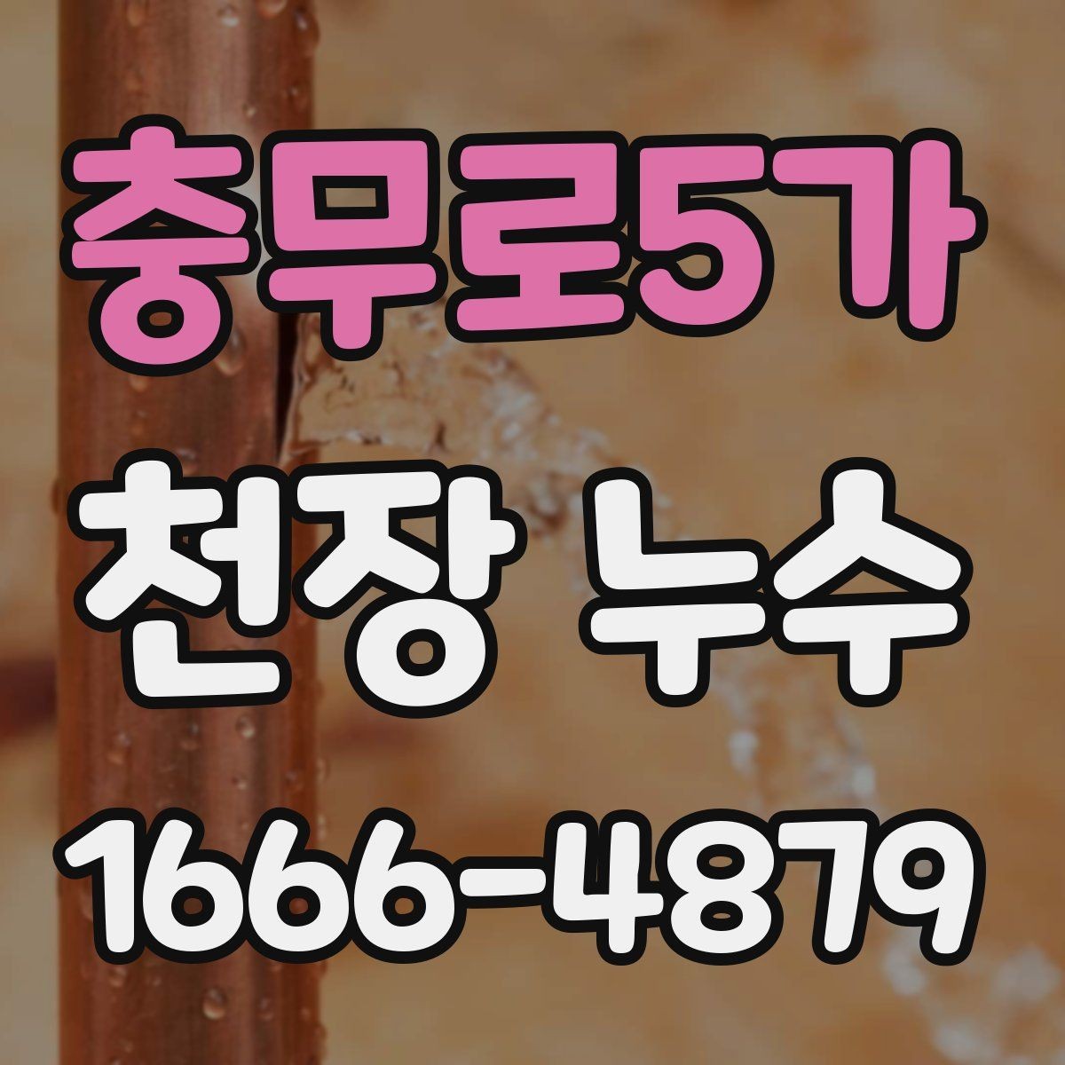 충무로5가 천장 누수 바닥까지 물이 떨어지기 전