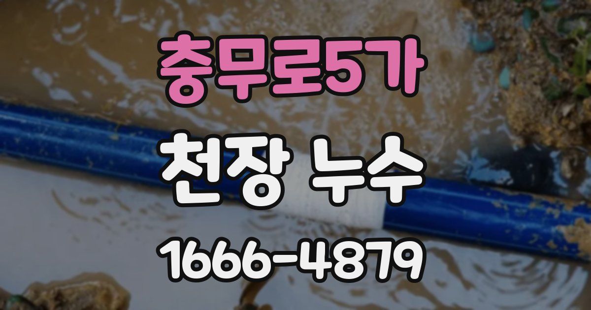 충무로5가 천장 누수