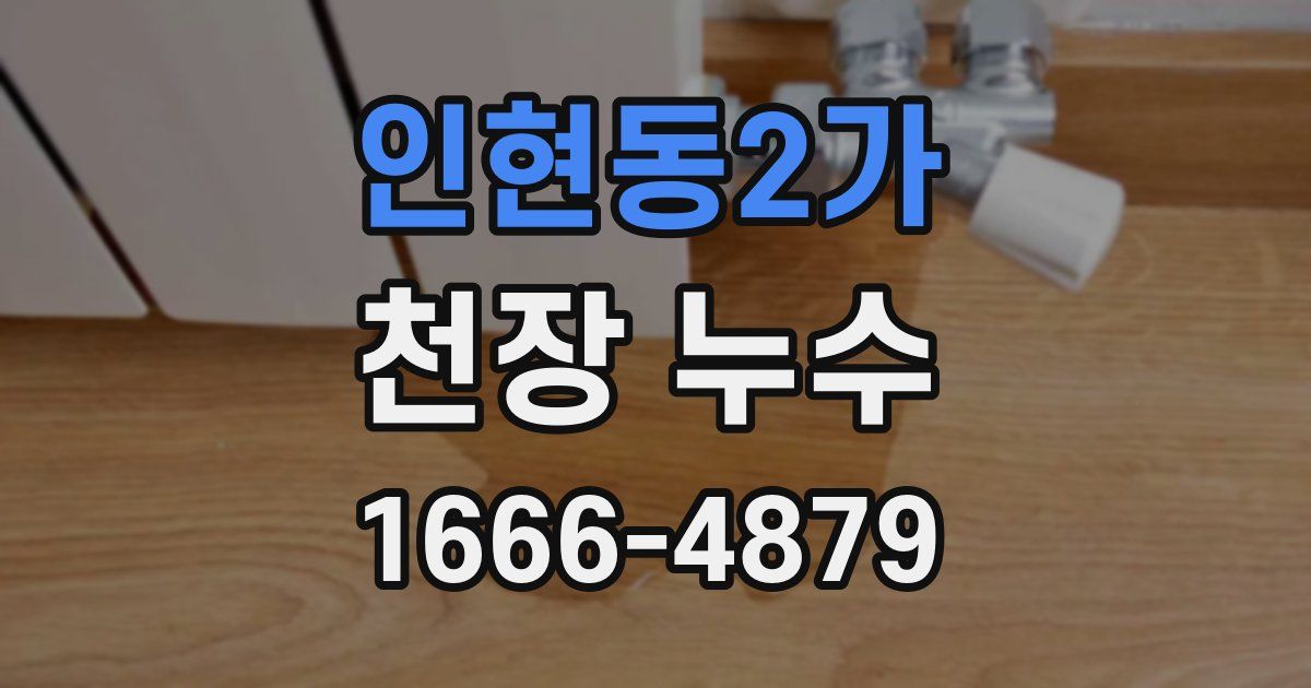 인현동2가 천장 누수