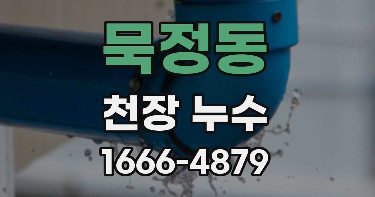 묵정동 천장 누수