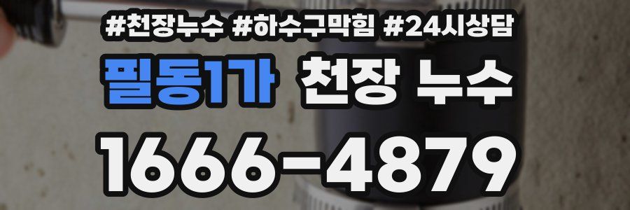 필동1가 천장 누수